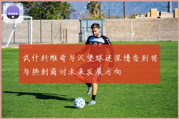 武什科维奇与汉堡球迷深情告别将与热刺商讨未来发展方向