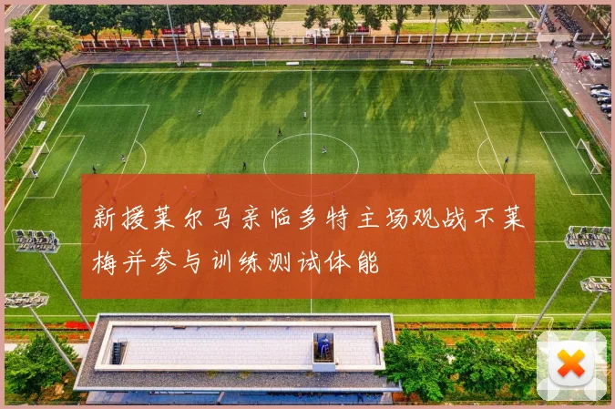 新援莱尔马亲临多特主场观战不莱梅并参与训练测试体能
